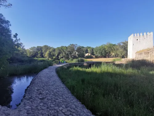 Alcala de Guadaira bike trip from Sevilla