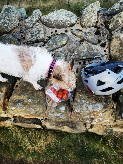 Exploring Hadrian Wall Bike Packing