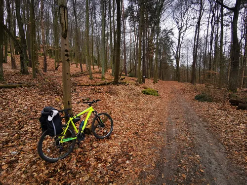 Park Krajobrazowy Orlich Gniazd by bike