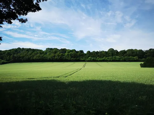 Exploring Pays de la Lore by Bike