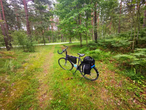 Estonian Forest Bike Packing