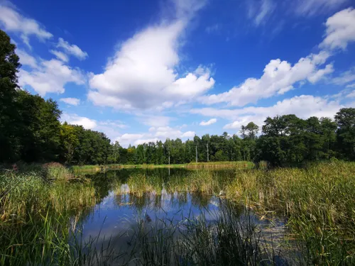 Lake Czernianskie by Bike